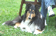 bild5