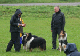 bild52