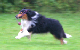 bild53