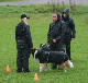 bild56