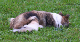 bild62