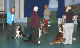 bild67