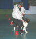 bild69b