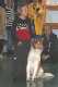 bild72