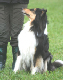 bild86