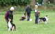 bild87