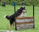 bild91