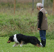 bild92