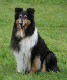 bild93