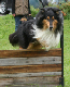 bild96