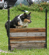 bild98