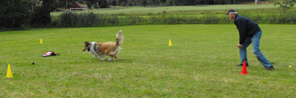 bild108
