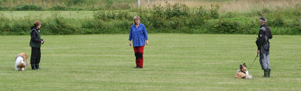 bild14