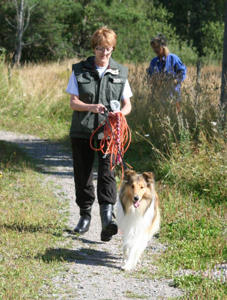 bild32