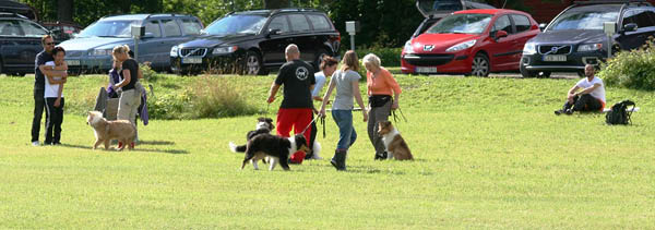 bild36