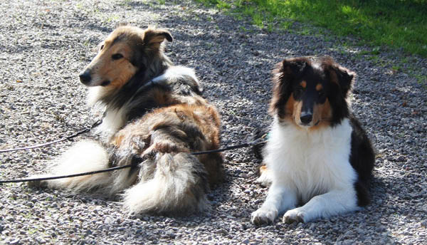 bild4