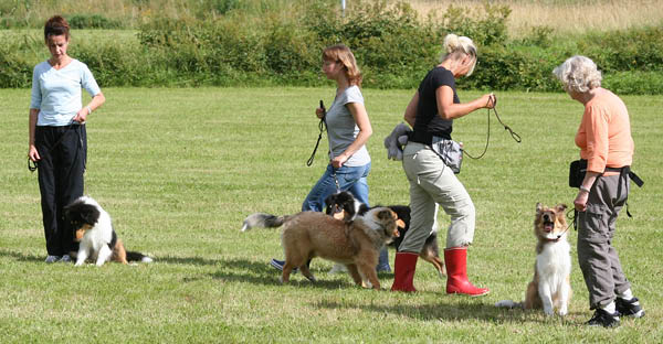 bild42