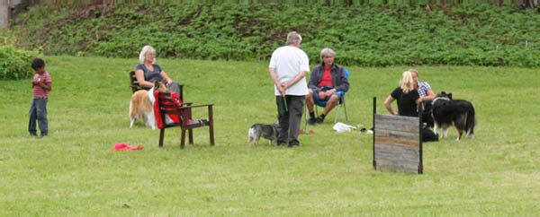 bild52