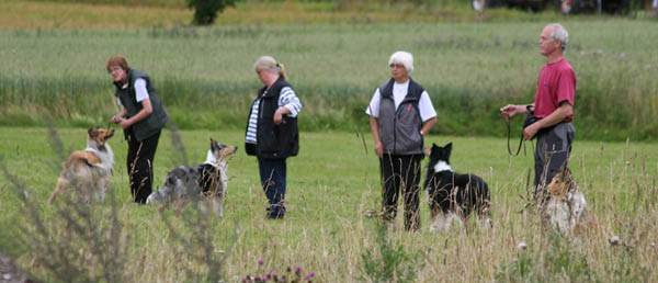 bild67