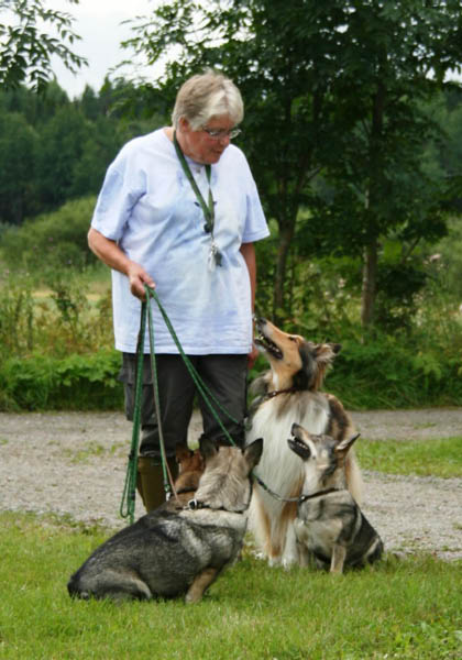 bild69