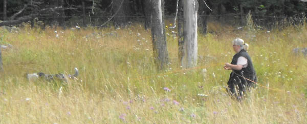 bild90