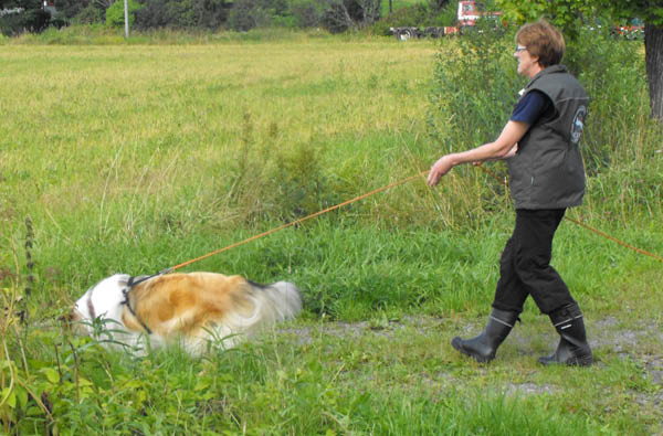 bild91