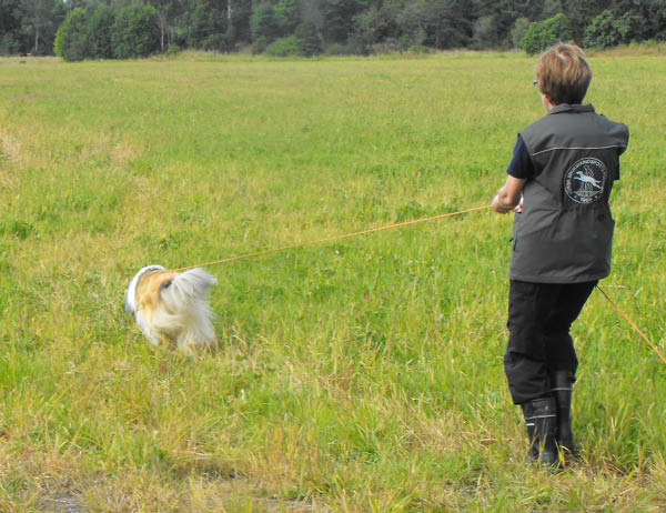 bild92