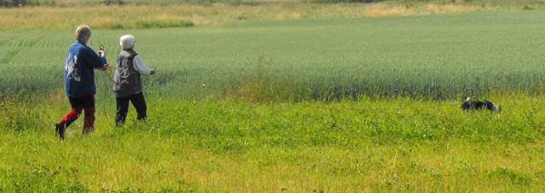 bild93