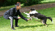 bild10