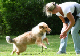 bild12