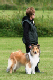 bild15