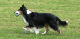 bild16