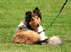 bild17