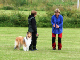bild19