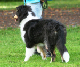 bild20