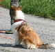 bild33