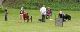 bild52