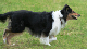 bild53