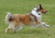 bild61