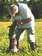 bild82