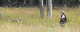 bild90