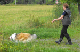bild91