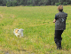 bild92
