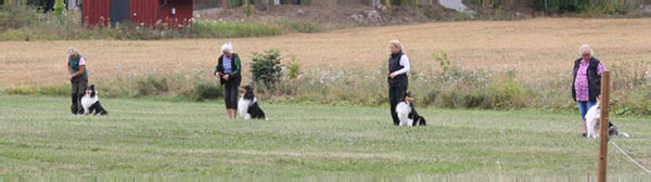 bild1