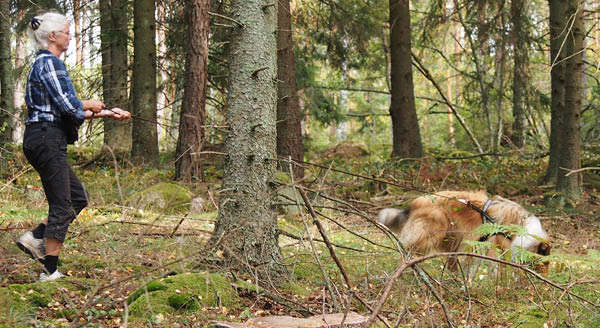 bild102