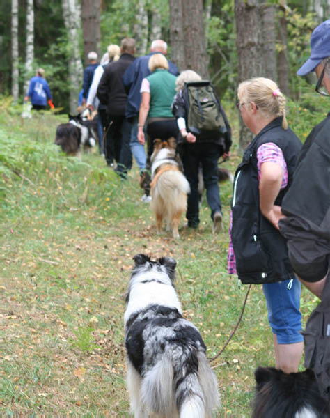 bild11