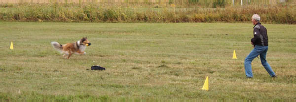 bild111