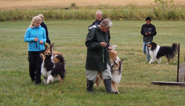 bild113