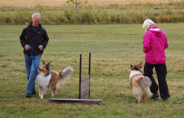 bild116