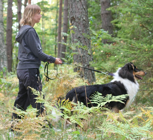 bild13